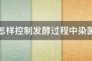 怎样控制发酵过程中染菌 