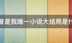 你曾是我唯一小说大结局是什么 