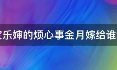 宝乐婶的烦心事金月嫁给谁了 