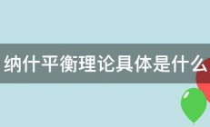 纳什平衡理论具体是什么 