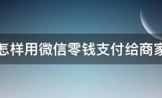 怎样用微信零钱支付给商家 