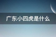 广东小四虎是什么 