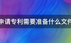 申请专利需要准备什么文件 