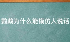 鹦鹉为什么能模仿人说话 