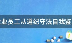 企业员工从遵纪守法自我鉴定 