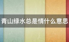 青山绿水总是情什么意思 