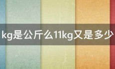 kg是公斤么11kg又是多少 