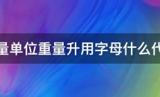 计量单位重量升用字母什么代替 