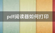 pdf阅读器如何打印 