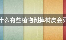 为什么有些植物剥掉树皮会死掉 