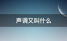 声调又叫什么 