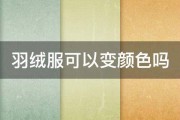 羽绒服可以变颜色吗 