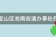 上海宝山区淞南街道办事处在哪里 