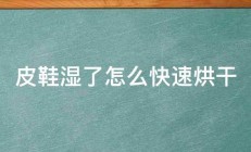 皮鞋湿了怎么快速烘干 