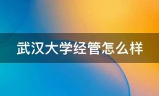 武汉大学经管怎么样 