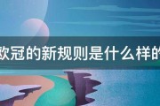 欧冠的新规则是什么样的 