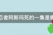 火影忍者阿斯玛死的一集是哪集啊 