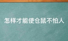 怎样才能使仓鼠不怕人 