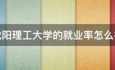 沈阳理工大学的就业率怎么样 