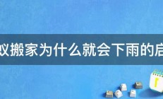 蚂蚁搬家为什么就会下雨的启示 