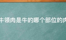 牛领肉是牛的哪个部位的肉 