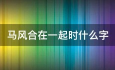 马风合在一起时什么字 