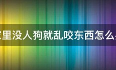 家里没人狗就乱咬东西怎么办 