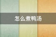 怎么煮鸭汤 