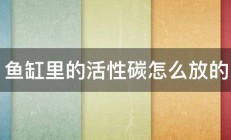 鱼缸里的活性碳怎么放的 