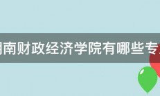 湖南财政经济学院有哪些专业 