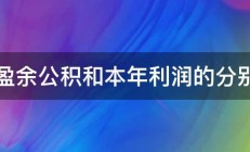 盈余公积和本年利润的分别 