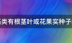 藻类有根茎叶或花果实种子吗 