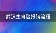 武汉生育险报销流程 