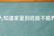 有没人知道家里到底能不能养文竹 