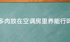 多肉放在空调房里养能行吗 