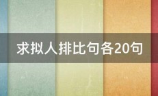 求拟人排比句各20句 