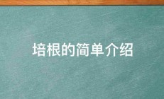 培根的简单介绍 