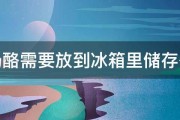 奶酪需要放到冰箱里储存么 