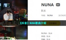 抖音嬛嬛朕emo了烧酒啤酒兑成两杯是什么歌-NUNA歌词分享