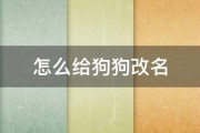 怎么给狗狗改名 