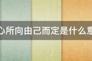 内心所向由己而定是什么意思 