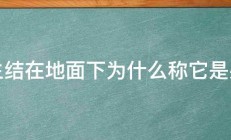 花生结在地面下为什么称它是果实 