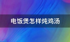 电饭煲怎样炖鸡汤 