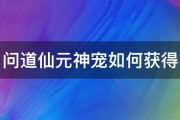 问道仙元神宠如何获得 