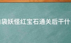 口袋妖怪红宝石通关后干什么 