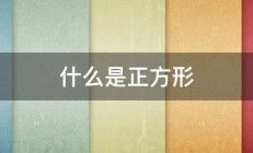 什么是正方形 