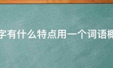 汉字有什么特点用一个词语概括 