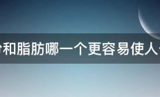 糖份和脂肪哪一个更容易使人长胖 