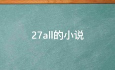 27all的小说 