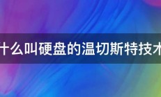 什么叫硬盘的温切斯特技术 